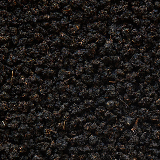 Törött Assam fekete tea „Typhoo” Bukhial BOP - 50 g