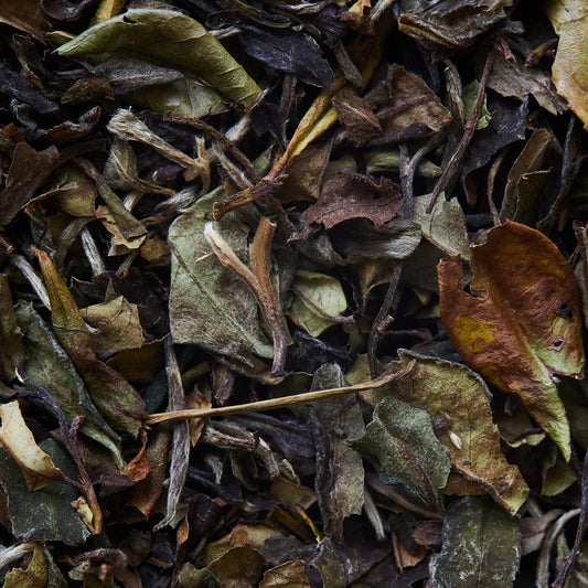 BAI MU DAN fehér tea - 50 g